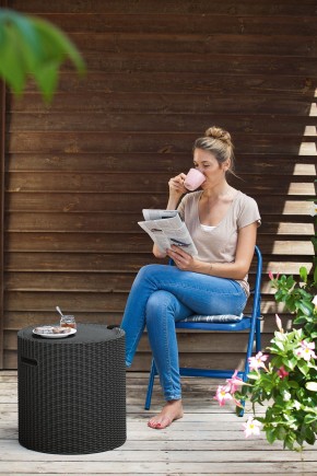 Столик-холодильник Кул-Стул (Cool stool) графит в Менделеевске - mendeleevsk.ok-mebel.com | фото