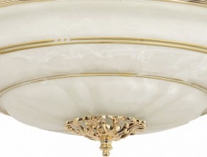 Светильник на штанге Arti Lampadari Pavia Pavia E 1.13.P40 G в Менделеевске - mendeleevsk.ok-mebel.com | фото 3