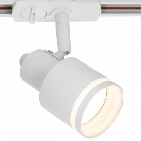 Светильник на штанге Citilux Bruno CL565T10 в Менделеевске - mendeleevsk.ok-mebel.com | фото 2