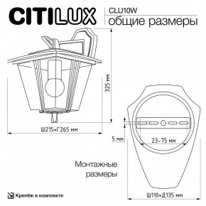 Светильник на штанге Citilux FORTS CLU10W в Менделеевске - mendeleevsk.ok-mebel.com | фото 9