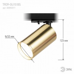 Светильник на штанге Эра  TR39-GU10 BS в Менделеевске - mendeleevsk.ok-mebel.com | фото 6