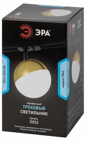 Светильник на штанге Эра  TR42-GX53 BS в Менделеевске - mendeleevsk.ok-mebel.com | фото 6