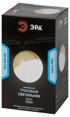 Светильник на штанге Эра  TR42-GX53 MG в Менделеевске - mendeleevsk.ok-mebel.com | фото 6