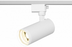 Светильник на штанге Эра  TR59 - 2040 WH в Менделеевске - mendeleevsk.ok-mebel.com | фото 5