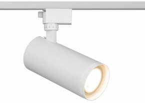 Светильник на штанге Эра  TR59 - 3030 WH в Менделеевске - mendeleevsk.ok-mebel.com | фото