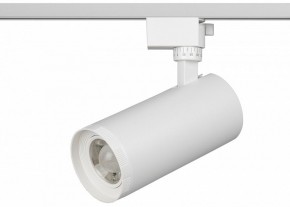 Светильник на штанге Эра  TR59 - 3030 WH в Менделеевске - mendeleevsk.ok-mebel.com | фото 2