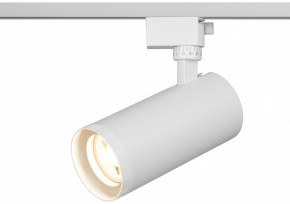 Светильник на штанге Эра  TR59 - 3030 WH в Менделеевске - mendeleevsk.ok-mebel.com | фото 5