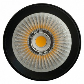 Светильник на штанге Feron TR Reflex 52059 в Менделеевске - mendeleevsk.ok-mebel.com | фото 12