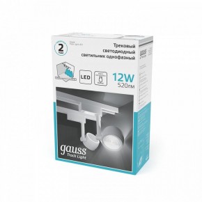 Светильник на штанге Gauss Track Light TR054 в Менделеевске - mendeleevsk.ok-mebel.com | фото 5