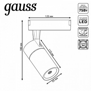 Светильник на штанге Gauss Track Light TR060 в Менделеевске - mendeleevsk.ok-mebel.com | фото 5