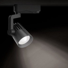 Светильник на штанге Gauss Track Light TR061 в Менделеевске - mendeleevsk.ok-mebel.com | фото 2