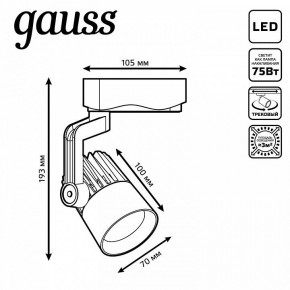 Светильник на штанге Gauss Track Light TR061 в Менделеевске - mendeleevsk.ok-mebel.com | фото 6