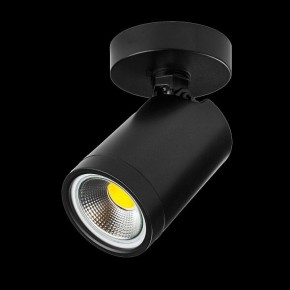 Светильник на штанге Lightstar Rullo 213407 в Менделеевске - mendeleevsk.ok-mebel.com | фото 2