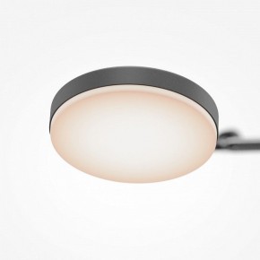 Светильник на штанге Maytoni Fad MOD070CL-L15B3K1 в Менделеевске - mendeleevsk.ok-mebel.com | фото 7