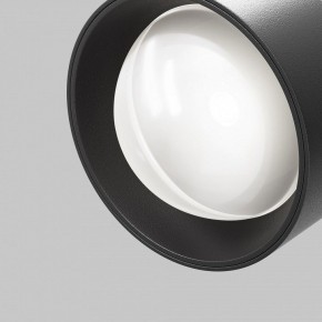 Светильник на штанге Maytoni Lens TR217-4-15WTW-DD-B в Менделеевске - mendeleevsk.ok-mebel.com | фото 12