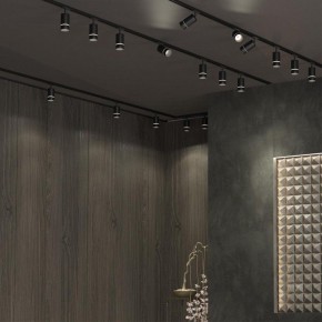 Светильник на штанге Novotech Elina 370777 в Менделеевске - mendeleevsk.ok-mebel.com | фото 4