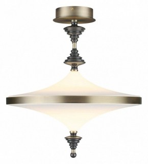 Светильник на штанге Odeon Light Ula 5404/43CL в Менделеевске - mendeleevsk.ok-mebel.com | фото 2