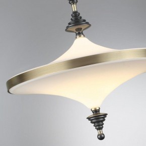 Светильник на штанге Odeon Light Ula 5404/43CL в Менделеевске - mendeleevsk.ok-mebel.com | фото 6