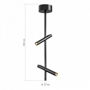 Светильник на штанге ST-Luce LILT SL6210.403.02 в Менделеевске - mendeleevsk.ok-mebel.com | фото 3