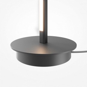 Торшер Maytoni Thin MOD395FL-L28B3K в Менделеевске - mendeleevsk.ok-mebel.com | фото 8