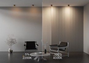 Встраиваемый светильник Maytoni Onda DL024-12W-DTW-BMG в Менделеевске - mendeleevsk.ok-mebel.com | фото 9